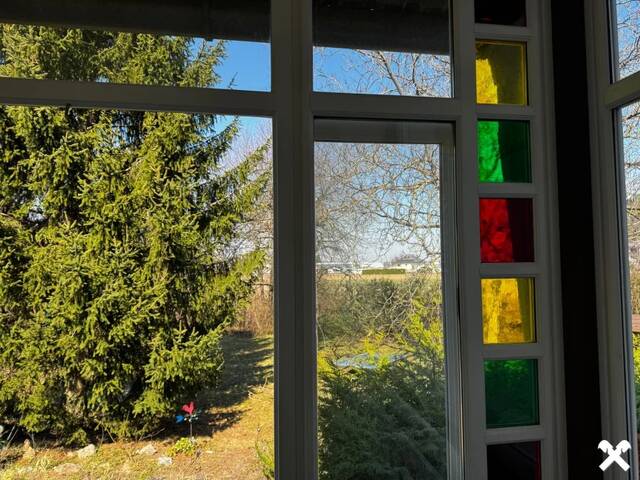 Immobilie in Grafenbach - Zu schön um wahr zu sein um diesen Preis! Schauen Sie sich das an! - Bild 4