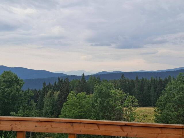 Immobilie in Deutsch-Griffen - Haus im Gurktal mit wundervollem Blick Richtung Karawanken - Bild 0