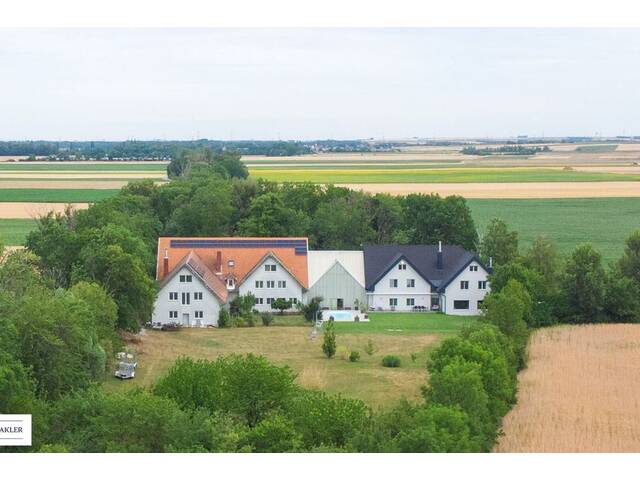 Immobilie in Himberg - Imposantes Anwesen mit Geschichte, Charakter und Raum für Visionen - Bild 4