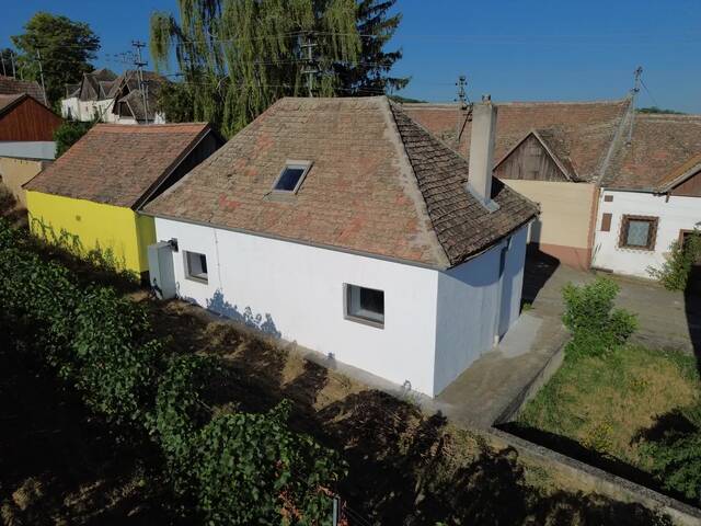 Immobilie in Obritz - Privatverkauf: Charmantes, saniertes Presshaus mit traumhaftem Gewölbekeller und Übernachtungskomfort - in der Kellergasse von Obritz - Bild 1