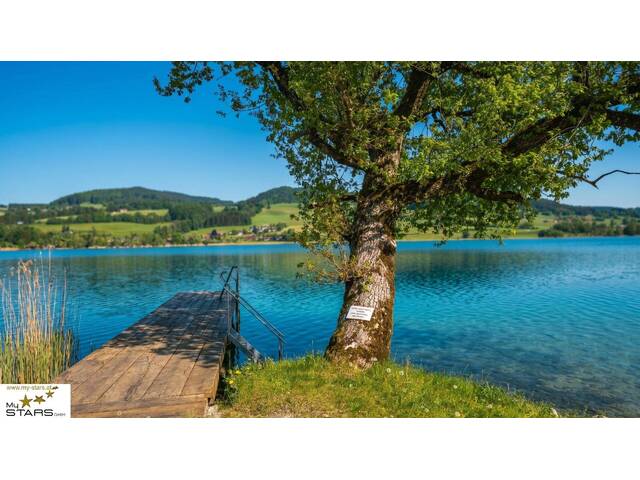 Immobilie in Oberhofen am Irrsee - neuer Kaufpreis Ausstellungsstück: modernes Mobilheim direkt am See zu verkaufen, keine Käuferprovision! - Bild 0