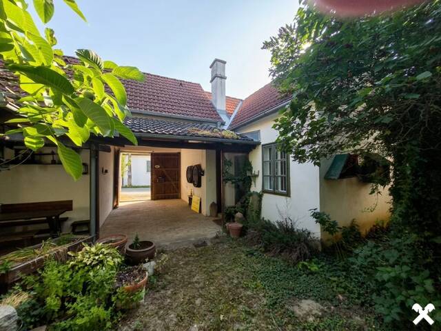 Immobilie in Schönkirchen-Reyersdorf - Typisches Weinviertler Haus mit viel Potential Nähe Gänserndorf inkl. nostalgischer Sammlerstücke - Bild 1