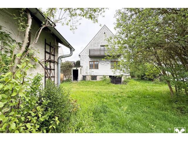 Immobilie in Krummnußbaum - Einfamilienhaus mit viel Platz & großem Garten im Ortskern von Krummnussbaum! - Bild 3