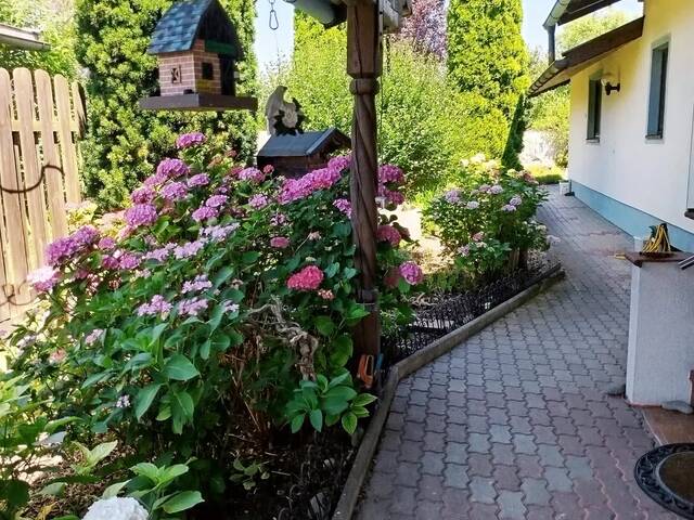 Immobilie in Ebbs - Einfamilienhaus - Bild 2