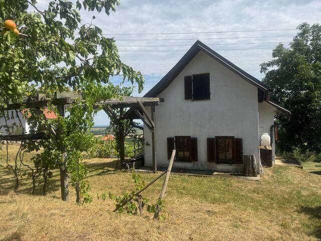 Immobilie in Rechnitz - Charmantes Kellerstöckl in sonniger Ruhelage mit Fernblick bis in die Ungarische Tiefebene - mitten im Weingebirge von Rechnitz - Bild 1