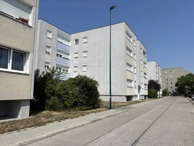 Immobilie in Wiener Neudorf - Familienhit mit Ausblick! - Bild 2
