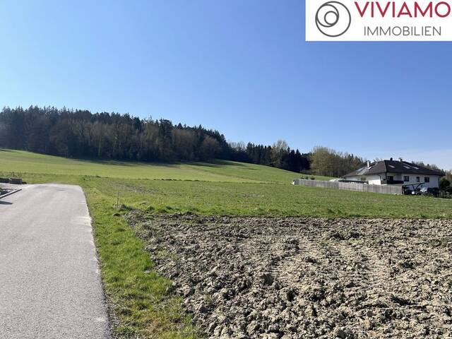 Immobilie in Pichl bei Wels - 15 Minuten von Wels I Ziegelmassiv-Bungalow TREND ab 98 m² Wohnfläche in Kematen am Innbach! - Bild 2