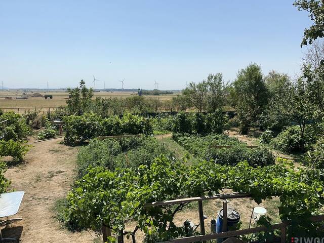 Immobilie in Prottes - Familienparadies mit Selbstversorger-Garten | 170 m² Wohnfläche auf 1.100 m² Grund - Bild 0