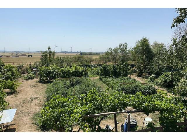 Immobilie in Prottes - Familienparadies mit Selbstversorger-Garten | 170 m² Wohnfläche auf 1.100 m² Grund - Bild 3