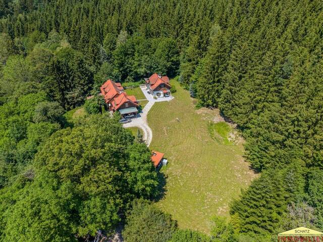 Immobilie in Hainfeld - PROVISIONSFREI!!! NATURIDYLLE -ZWEI WOHNHÄUSER EIN ANWESEN IM SCHÖNEN TRIESTINGTAL - Bild 1