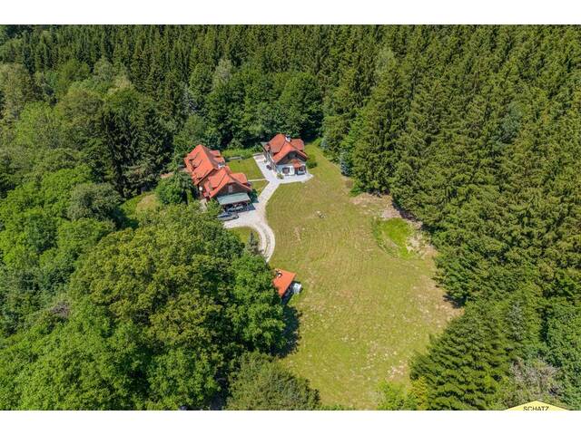 Immobilie in Hainfeld - PROVISIONSFREI!!! NATURIDYLLE -ZWEI WOHNHÄUSER EIN ANWESEN IM SCHÖNEN TRIESTINGTAL - Bild 4