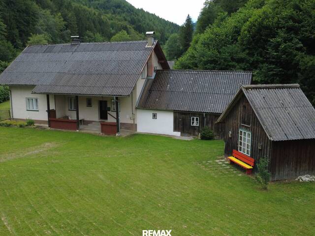 Immobilie in Schwarzenbach an der Pielach - Einfamilienhaus mit großem Grundstück in naturnaher Lage von Schwarzenbach - Bild 0