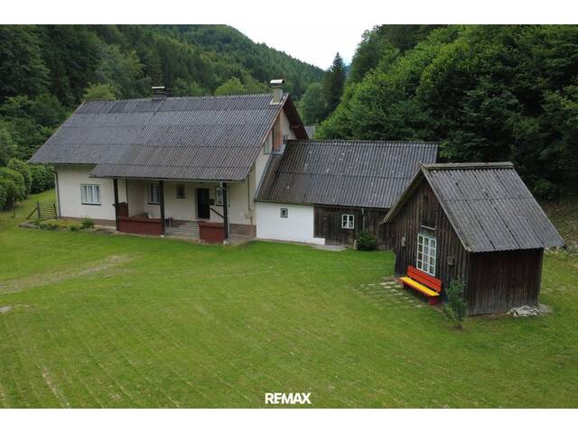 Immobilie in Schwarzenbach an der Pielach - Einfamilienhaus mit großem Grundstück in naturnaher Lage von Schwarzenbach - Bild 3