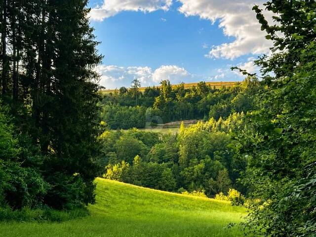 Immobilie in Warth - Preisreduktion! NATURIDYLLE MIT FERNBLICK ? CHARMANTES EINFAMILIENHAUS AUF ÜBER 1.000 M² GRUNDSTÜCK IN ABSOLUTER RUHELAGE - Bild 3