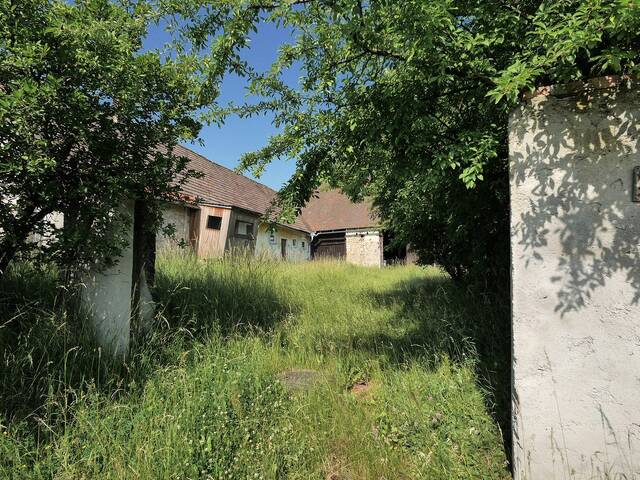 Immobilie in Wetzles - Altes Bauernhaus mit Scheune auf etwa 2000m2 wildem Grundstück - Bild 0