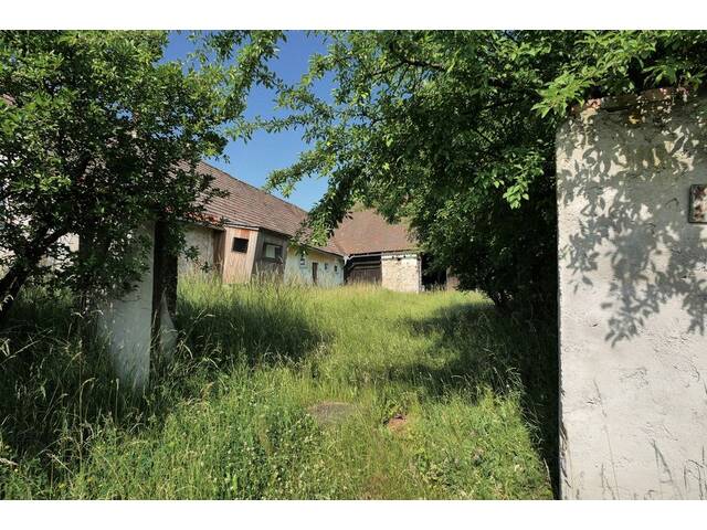 Immobilie in Wetzles - Altes Bauernhaus mit Scheune auf etwa 2000m2 wildem Grundstück - Bild 3