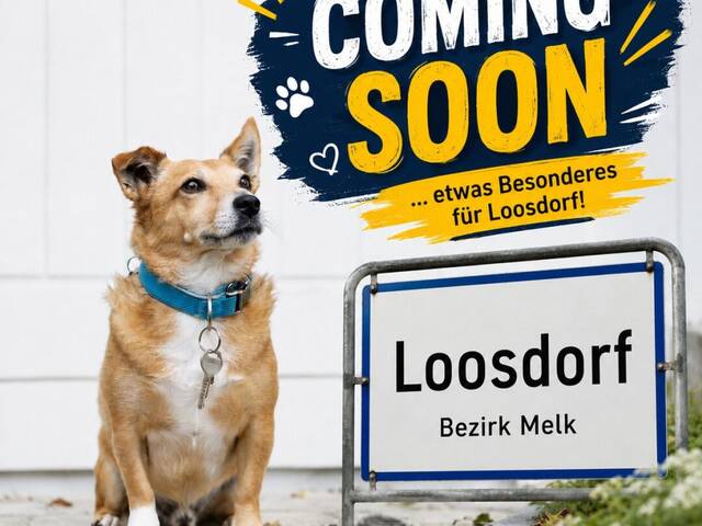 Immobilie in Loosdorf - COMING SOON! Neuwertiger Bungalow in Loosdorf - barrierefrei! - Bild 0