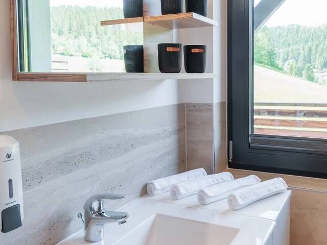 Immobilie in Lackenhof - Exklusive Ferienwohnung mit Terrasse & Garten - Top-Lage am Skigebiet Ötscher - Bild 3