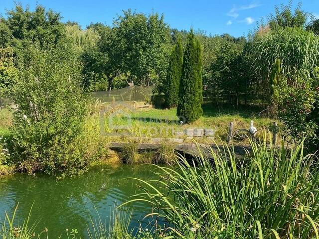 Immobilie in Rohrbrunn - Gartenparadies im Südburgenland - Bild 2