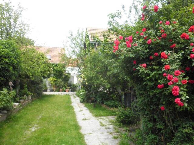 Immobilie in Dürnbach im Burgenland / Vincjet - Traumhaftes, vollständig renoviertes Haus mit Garten in Dürnbach (Provisionsfrei) - Bild 2