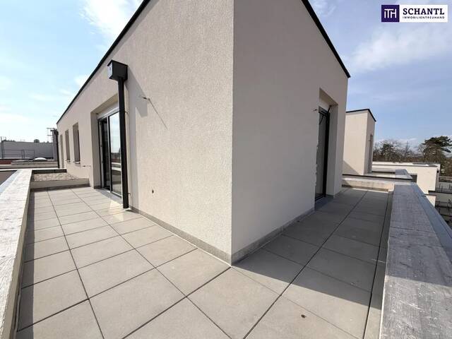 Immobilie in Groß-Enzersdorf - WOW wie cool! Geniale DG- Wohnung mit 4 Zimmer und 2 Terrassen! Ab Q3/26 - Bild 2