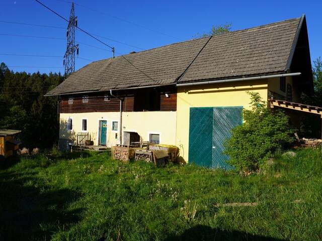 Immobilie in Köstenberg - Bauernhaus entkernt und bereit für neue Ideen - Bild 1