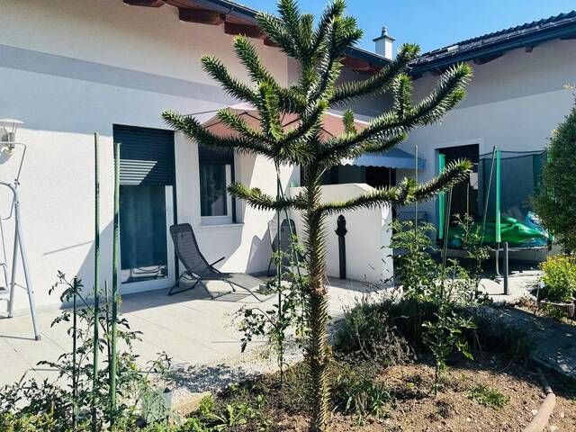 Immobilie in Schalchen - Moderner Generationen-Bungalow mit Wohlfühlgarantie - Bild 1