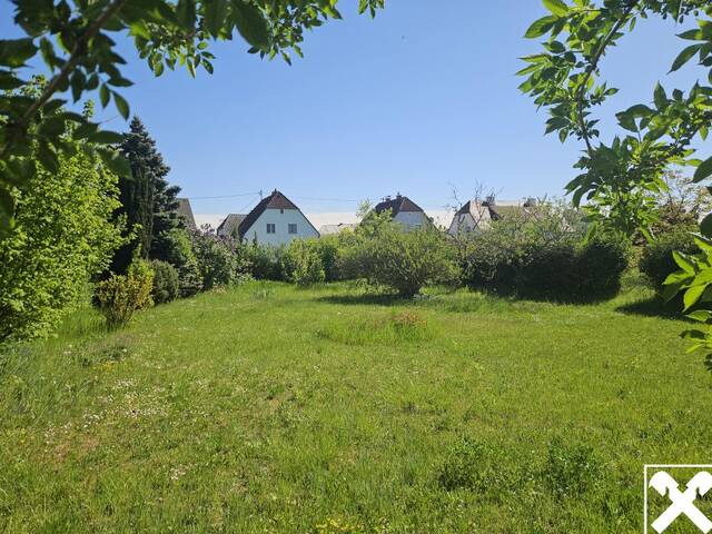Immobilie in Leonding - Wohnhaus Leonding-Langholzfeld - Bild 2