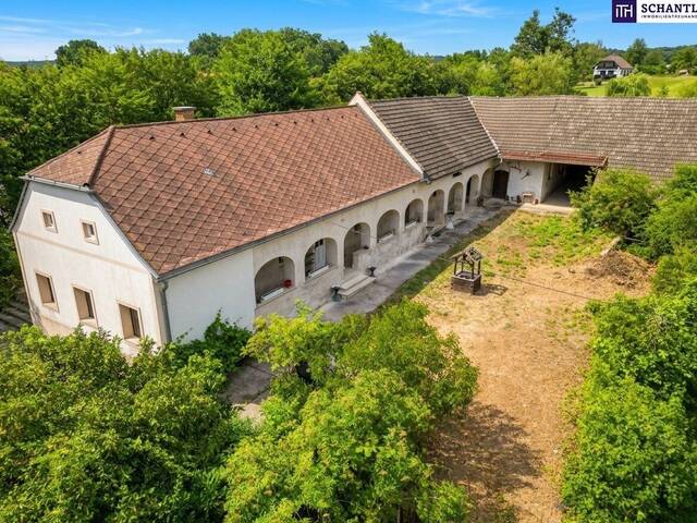 Immobilie in Heiligenkreuz im Lafnitztal - Ein Ort mit Geschichte - bereit für neue Träume und frisches Leben - sanierungsbedürftiger Bauernhof in - 7561 Heiligenkreuz - Bild 0