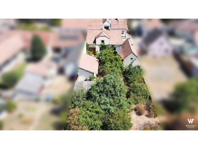 Immobilie in Bernhardsthal - Sanierungsobjekt mit über 1.400 m² Bau- und Grünland - Bild 1