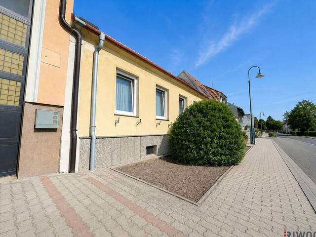Immobilie in Gaubitsch - Ehemalige Gärtnerei mit 1.303 m² Grundfläche und vielfältigem Entwicklungspotenzial - Bild 1