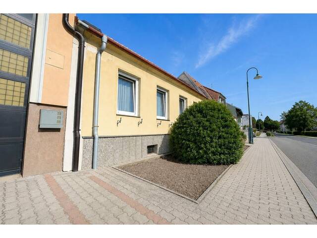 Immobilie in Gaubitsch - Ehemalige Gärtnerei mit 1.303 m² Grundfläche und vielfältigem Entwicklungspotenzial - Bild 4