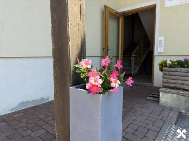 Immobilie in St. Daniel - 2-Zimmer Wohnung in ländlicher Idylle im Kärntner Gailtal - Bild 1
