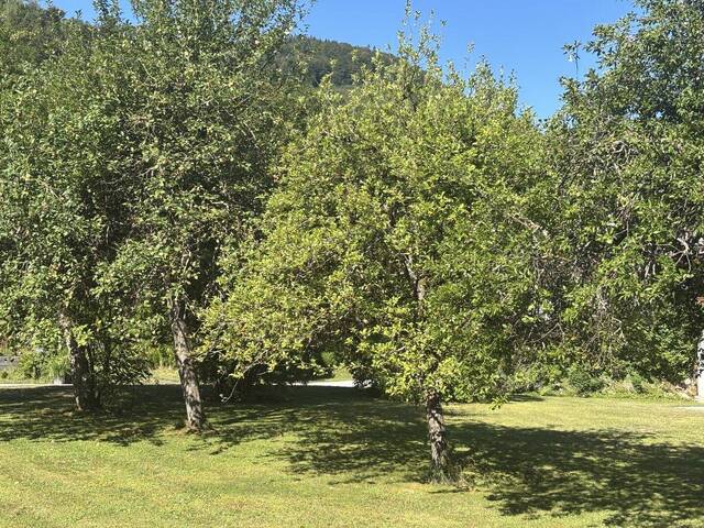 Immobilie in Hintersee - OBERASCH/HINTERSEE: Gemütliche 4-Zimmer-Terassen-Wohnung D13 in Holzbauweise, nur mehr wenige Wohnungen frei! - Bild 2
