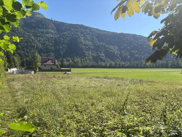 Immobilie in Hintersee - OBERASCH/HINTERSEE: Gemütliche 3-Zimmer-Balkon-Wohnung O7 in Holzbauweise, nur mehr wenige Balkon-Wohnungen frei! - Bild 0