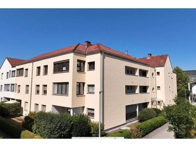 Immobilie in Gunskirchen - Neu sanierte Wohnung in Premium-Ruhelage im Zentrum von Gunskirchen - Bild 3