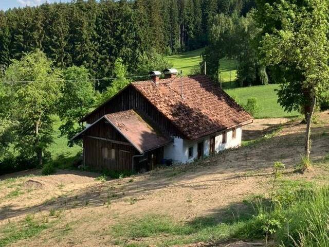 Immobilie in Rohrbach - Sacherl in allein Lage - Bild 1
