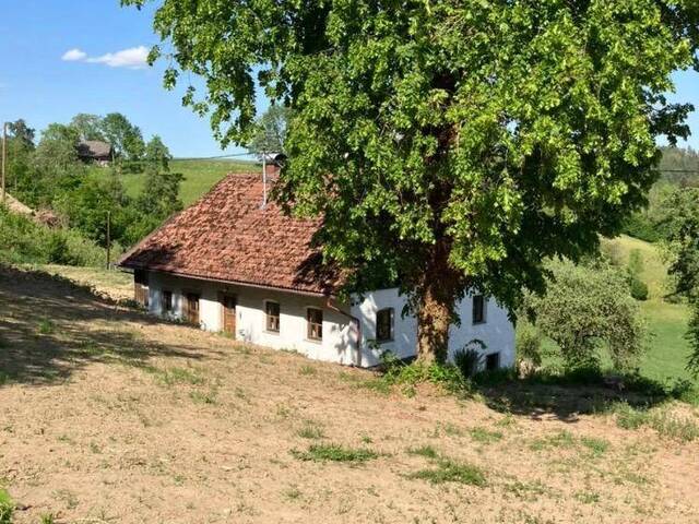 Immobilie in Rohrbach - Sacherl in allein Lage - Bild 2