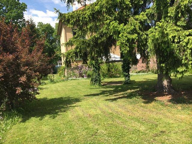 Immobilie in Haugsdorf - PROVISIONSFREIE Villa für 2-Generationen, Wohnen und Arbeiten oder Vermietung – in absoluter Grün-/Ruhelage - Bild 4