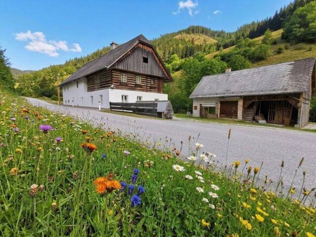 Immobilie in Etmißl - Ruhiges Zuhause mit Charakter und Nebengebäude - provisionsfrei für die Käufer - Bild 0