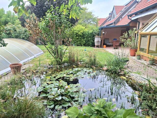 Immobilie in Günselsdorf - Charmantes Einfamilienhaus inkl. Pool, Sauna u.v.m. - Bild 0