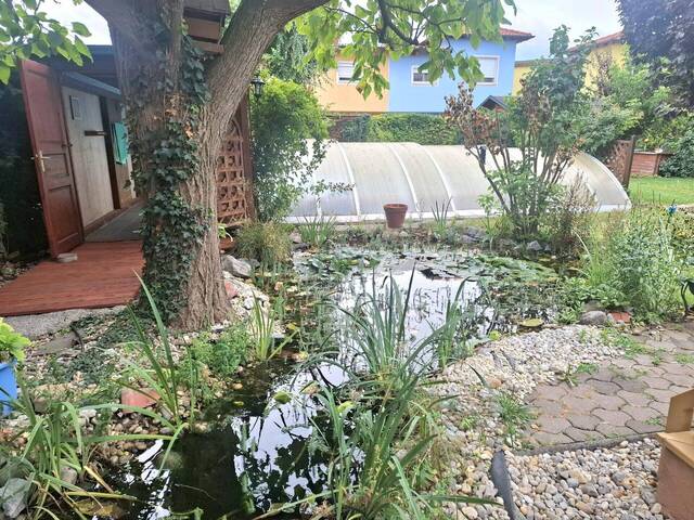Immobilie in Günselsdorf - Charmantes Einfamilienhaus inkl. Pool, Sauna u.v.m. - Bild 1