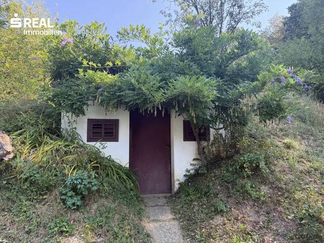 Immobilie in St. Stefan im Rosental - Einfamilienhaus in Lichendorf mit großem Garten, Garage & Nebengebäude - Bild 3
