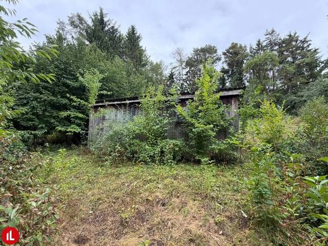 Immobilie in Ernstbrunn - 3.348 M² BAULAND MIT WOHNHAUS UND ENTWICKLUNGSPOTENZIAL - Bild 3