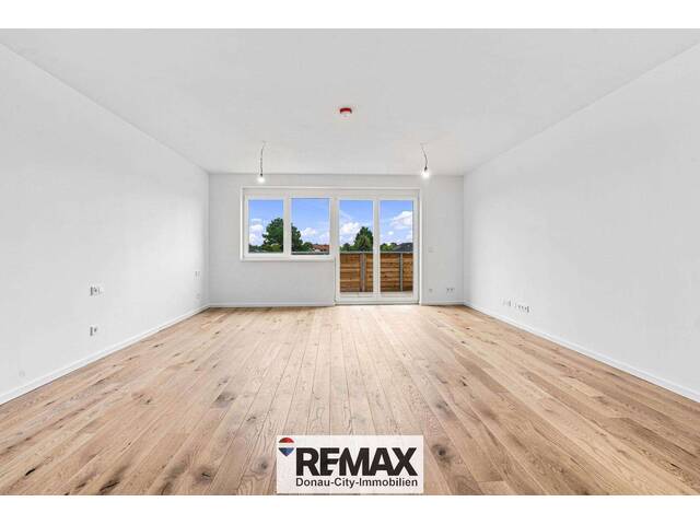 Immobilie in Deutsch-Wagram - Provisionsfrei für den Käufer - Dachgeschoss 1- Zimmer- mit Balkon - Bild 2
