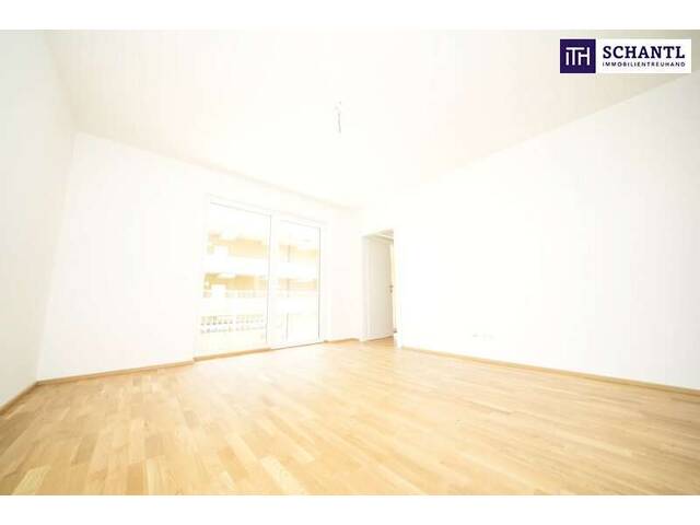 Immobilie in Kalsdorf bei Graz - Neubau-Charme, der begeistert! Lebensqualität, die bleibt! - Erstbezug in TOP LAGE! - 3 Zimmer Wohntraum mit 64m² - Bild 0