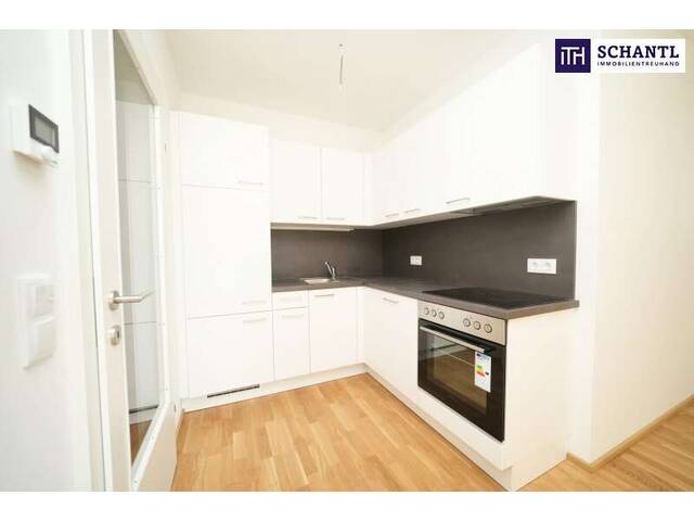 Immobilie in Kalsdorf bei Graz - Neubau-Charme, der begeistert! Lebensqualität, die bleibt! - Erstbezug in TOP LAGE! - 3 Zimmer Wohntraum mit 64m² - Bild 1