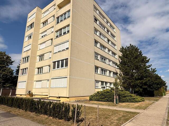 Immobilie in Leopoldsdorf im Marchfelde - 3 Zimmerwohnung mit Loggia und Lift um 144.640 Euro provisionsfrei im Grünen zu verkaufen - 2285 Leopoldsdorf i. Marchfeld, NÖ; - Bild 0