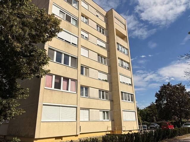 Immobilie in Leopoldsdorf im Marchfelde - 3 Zimmerwohnung mit Loggia und Lift um 144.640 Euro provisionsfrei im Grünen zu verkaufen - 2285 Leopoldsdorf i. Marchfeld, NÖ; - Bild 1