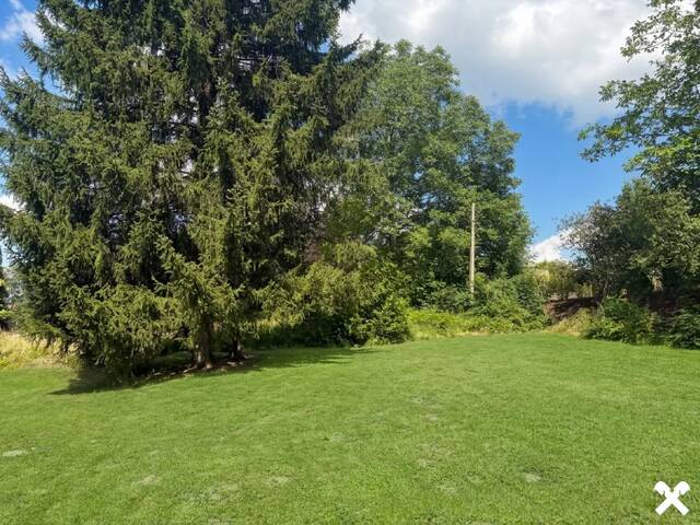 Immobilie in Ried im Innkreis - Bungalow mit Potenzial auf großzügigem Grundstück nahe Stadtpark - Bild 3